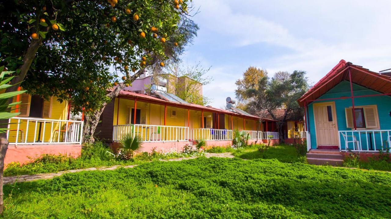 Toll Garden Hotel 3*